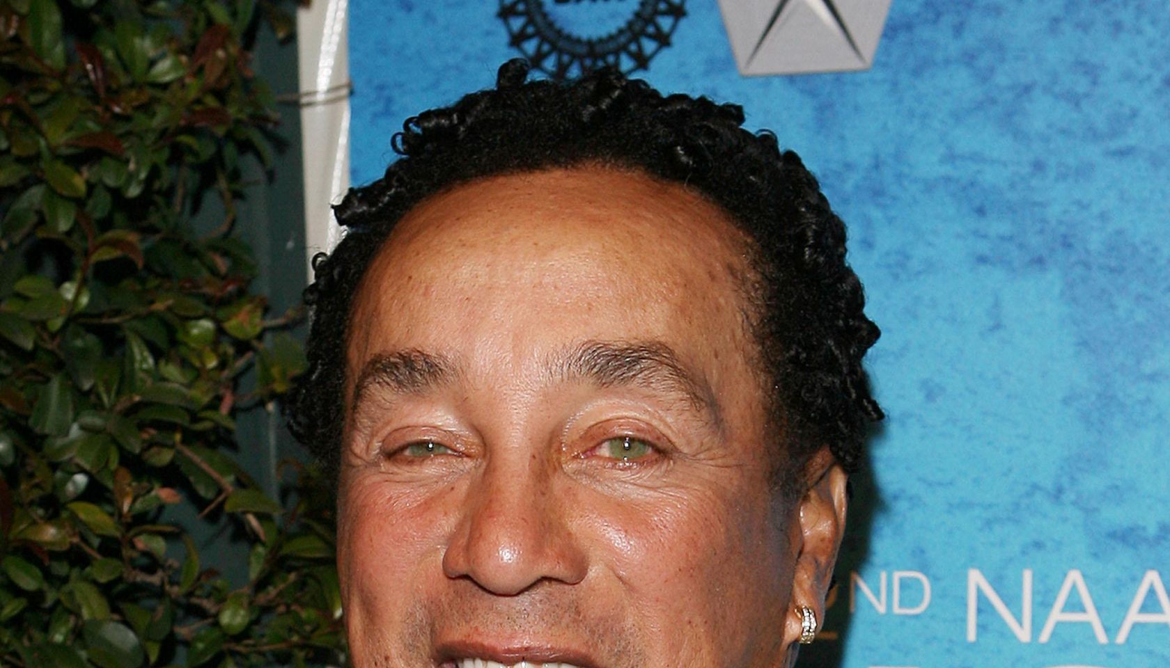 42nd Annual NAACP Image Awards - Nominees' Pre-Show Gala Reception