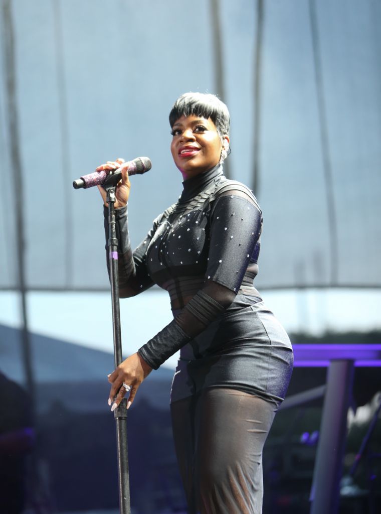 Maxwell and Fantasia At Redhat
