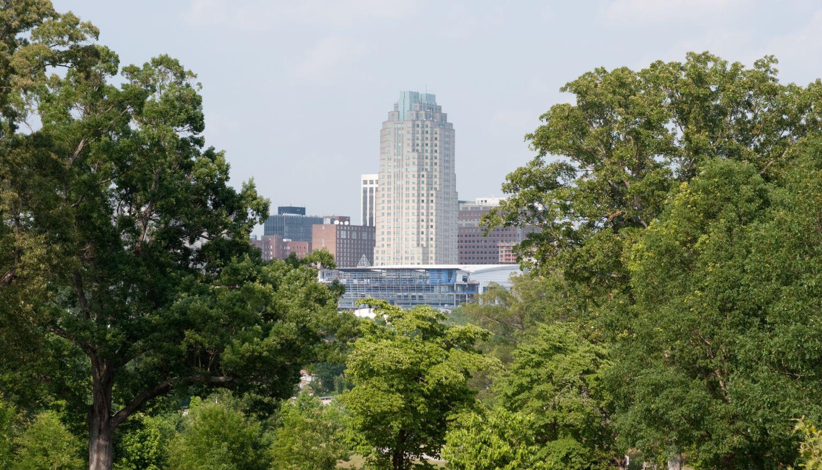 Raleigh and Trees