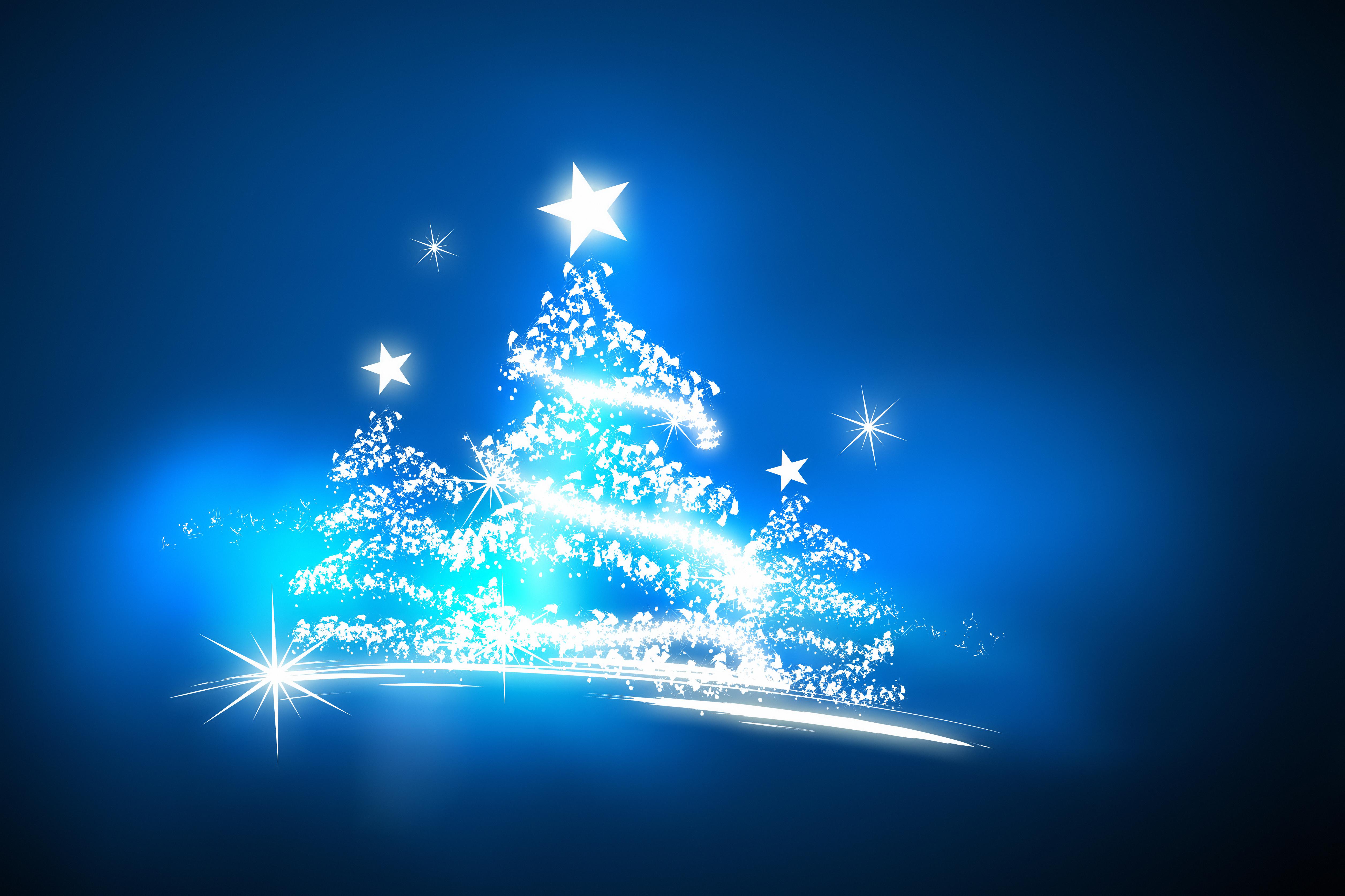 Magical xmas trees on blue