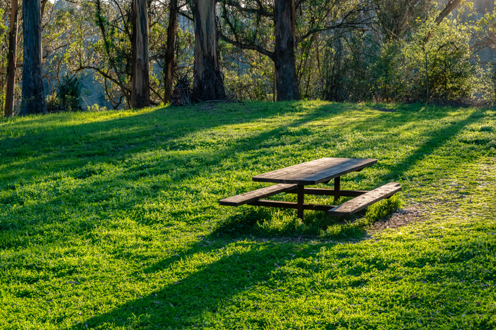 Picnic table in a forest