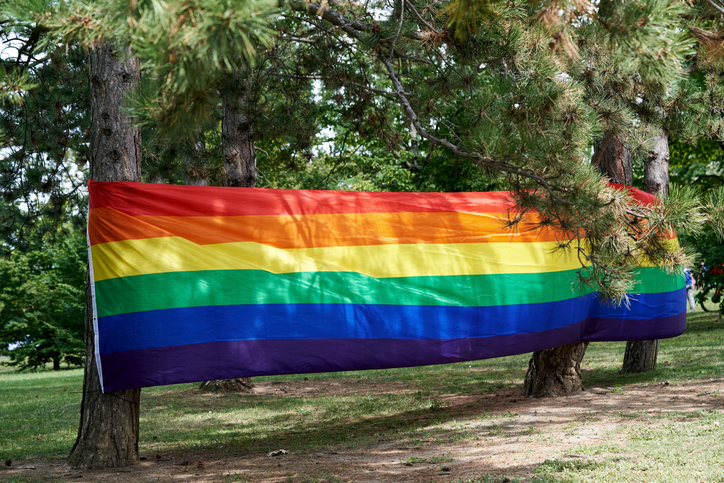 Rainbow flag attached to pine trees in a park during gay pride