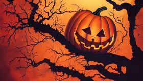 Smiling carved pumpkin, dry tree at full moon night, illuminated Jack 'o Lantern