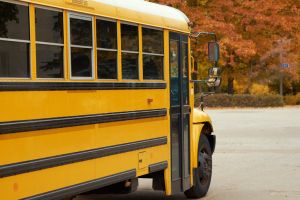 Yellow school bus stands in parking lot against the background of autumn park.