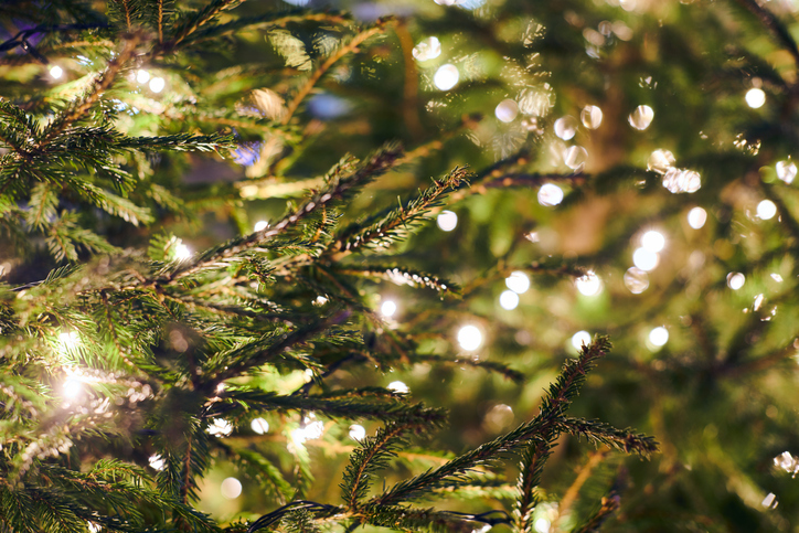 New year Christmas tree branch at yellow flickering lights of garlands copy space background
