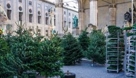 Christmas Tree Sales At Odeonsplatz, Munich