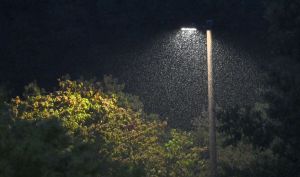 Hurricane Helene strikes Southeast in U.S.