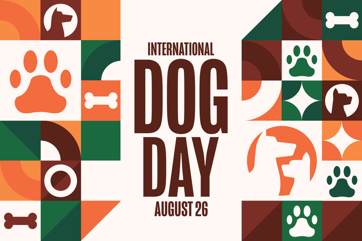 International Dog Day. August 26. Holiday concept. Template for background, banner, card, poster with text inscription. Vector EPS10 illustration.