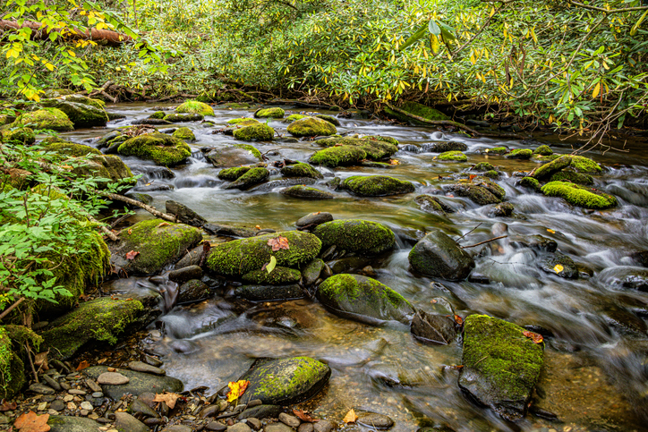 Flowing river
