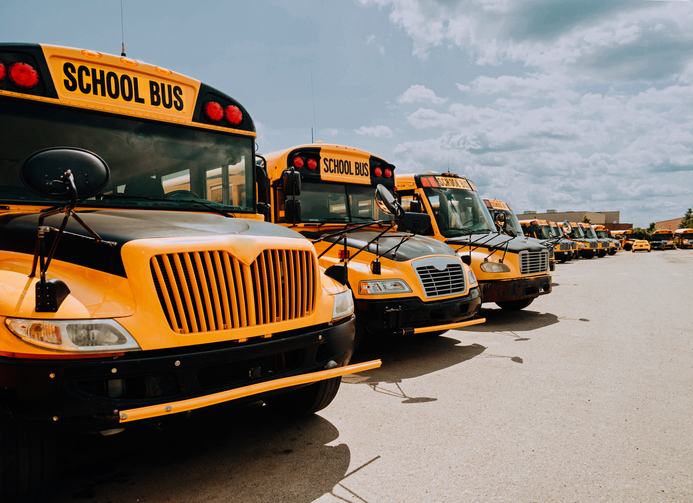 School buses in line on parking spot
