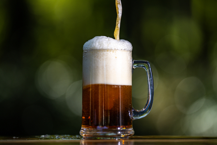 Traditional beer glass. Fresh draft beer with barley. Tasty alcoholic brew beer with natural background. Freshly brewed craft lager bear with foam. Beer mug in summer.