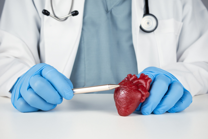 Concept of preventative care and cardiovascular health. Specialist demonstrating how to prevent a heart attack and improve heart health using an anatomical model. Healthy living and proactive medicine.