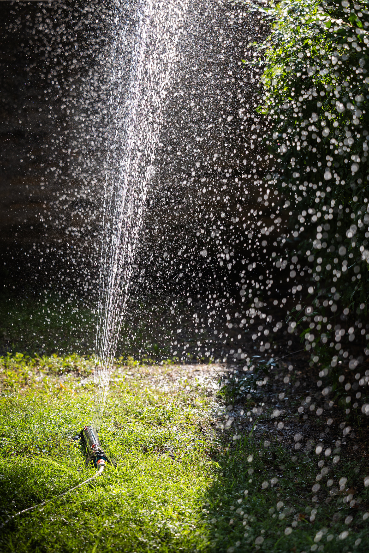 Watering backyard green grass lawn with sprinkler