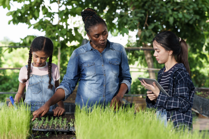 Teenage multiracial student and agriculture teacher working on organic seedling tray, while asian student records progress during outdoor farming lesson in school hands-on education session