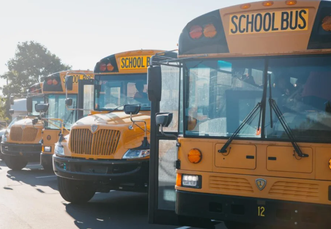Row of yellow school buses parked on a street, with "SCHOOL BUS" text visible on the sides of the vehicles.