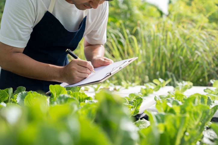 Organic farming, vegetable farm. Farmers recheck quality record on data on checklist. grow naturally, Ecological Biological, Healthy, Technology, non toxic, harvest, scientific , academic