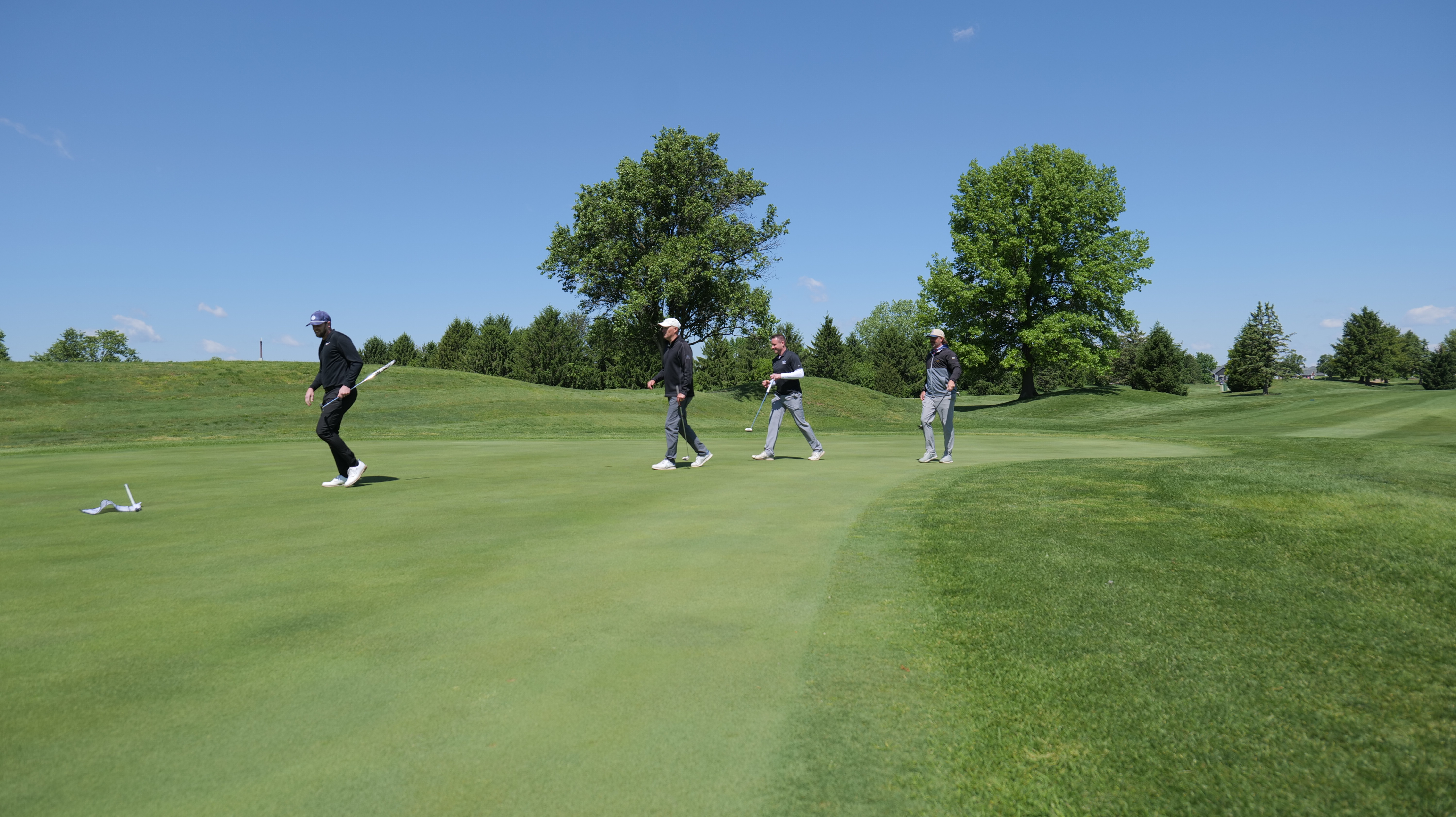 Four golfers playing on a lush green golf course with trees in the background on a sunny day.